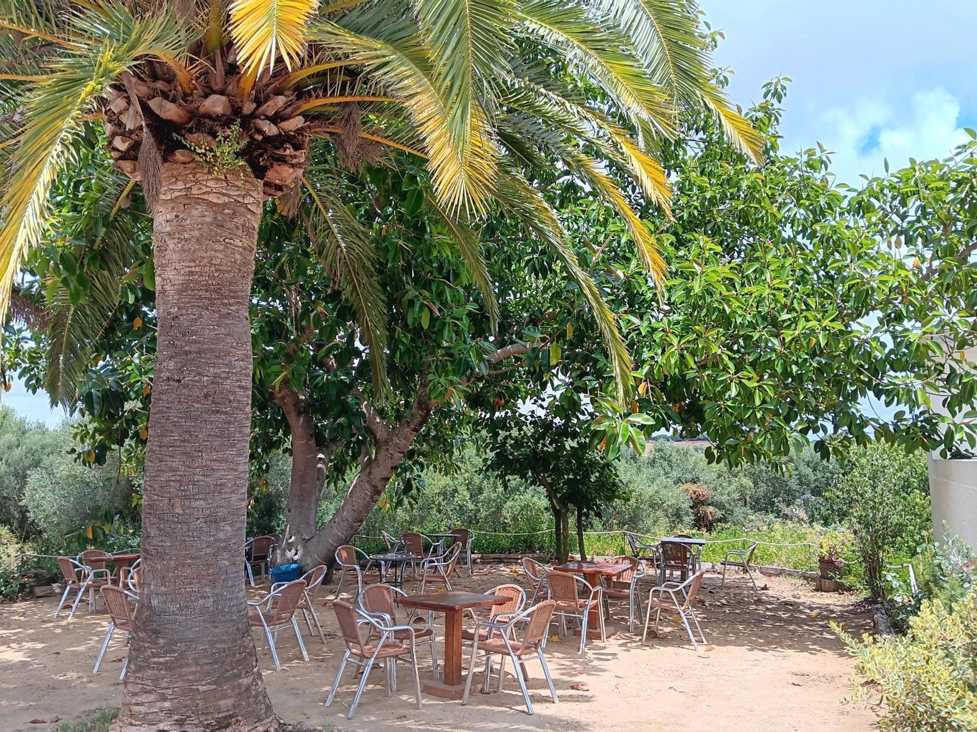 El Palomar De La Brena Hotel Barbate Eksteriør billede