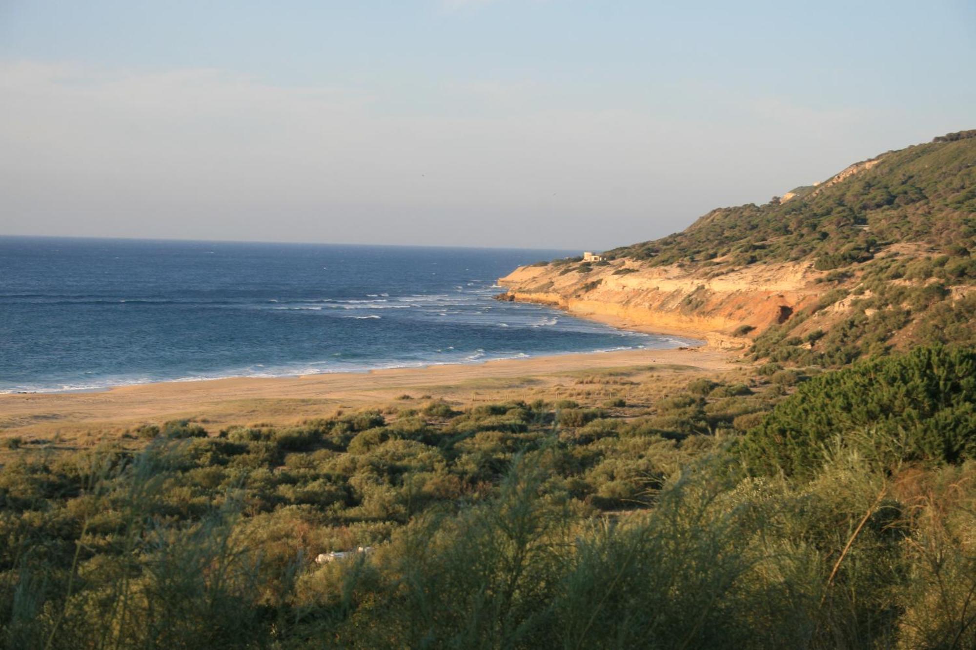 El Palomar De La Brena Hotel Barbate Eksteriør billede