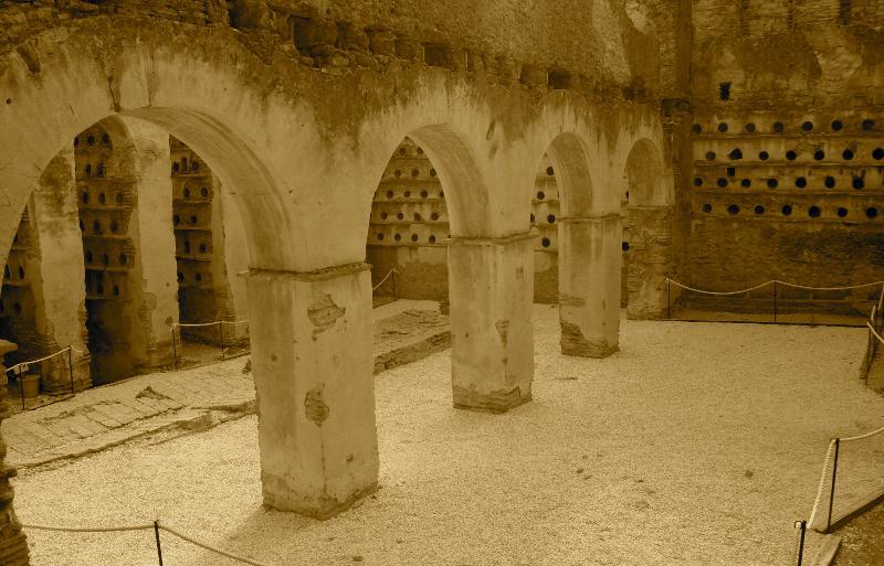 El Palomar De La Brena Hotel Barbate Eksteriør billede